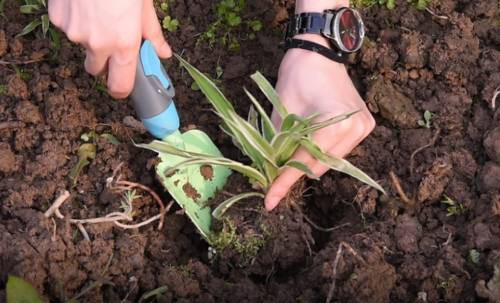 multi-interchange kid tools set(1) multi-interchange kid tools set(1)