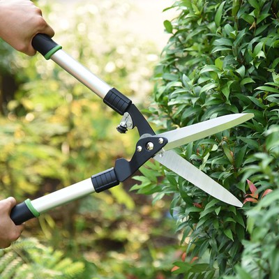 Easy-to-use cutting shears for bushes Easy-to-use cutting shears for bushes