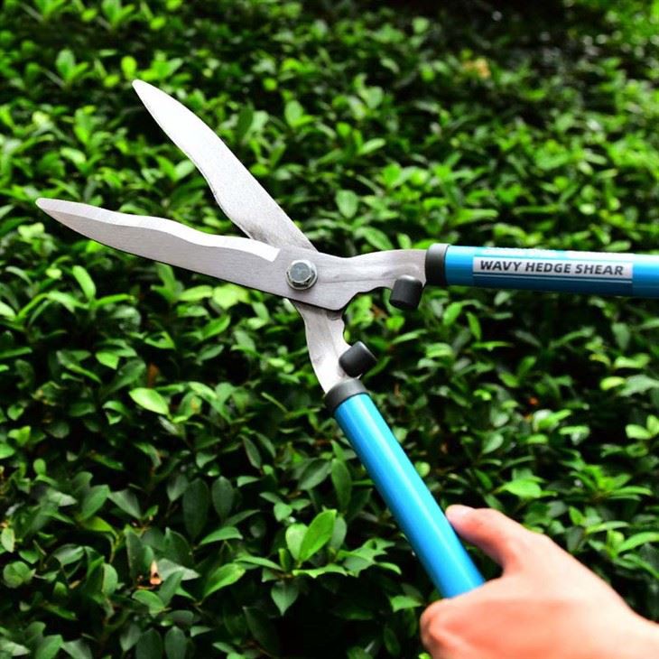 Long handled hedge shears