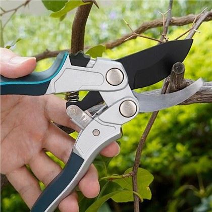 Valg af de perfekte beskærere til dine æbletræer: En gartnervejledning