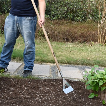 Fordelene ved at starte en køkkenhave