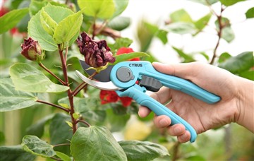 Fordelene ved kraft og håndskæreværktøj