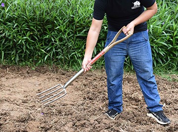 Kort introduktion af russisk havekultur