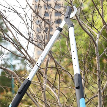 Beskæring og trimning: Pleje af min familie Garde