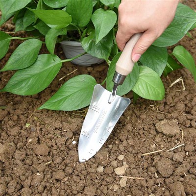 Haveplantningsdagbog -1