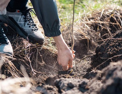 Legende trin til at grave gennem rødder