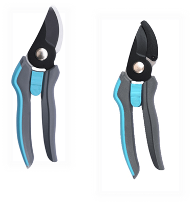 Pruner vs Amvil Pruner: A Tale of Two Tools