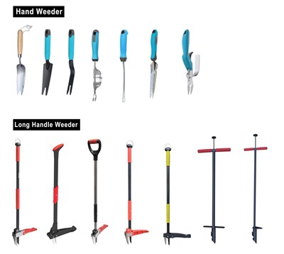 Dyrkning af grønt: Omfavn bæredygtighed i din have