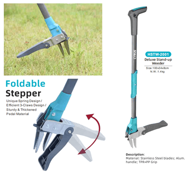 Fejring af Mid-Autumn Festival Around the World: En harmoni af tradition og h...