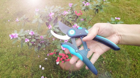 Hand Pruner Hand Pruner
